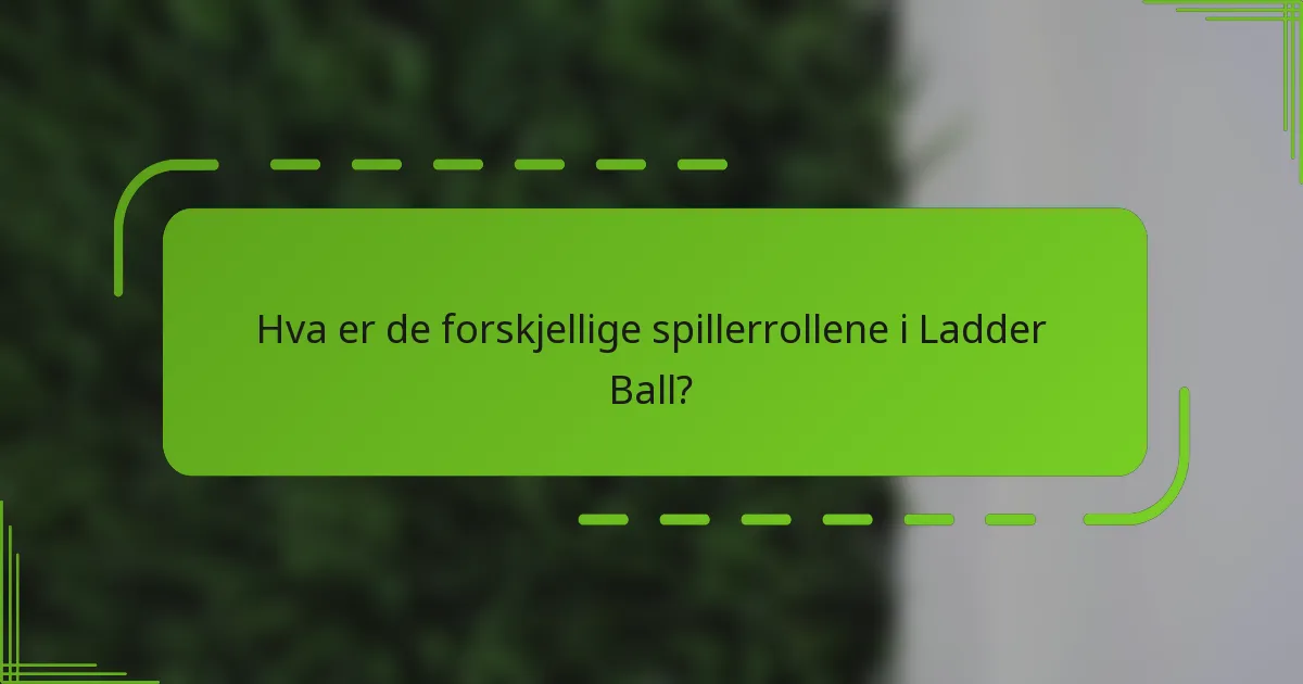 Hva er de forskjellige spillerrollene i Ladder Ball?