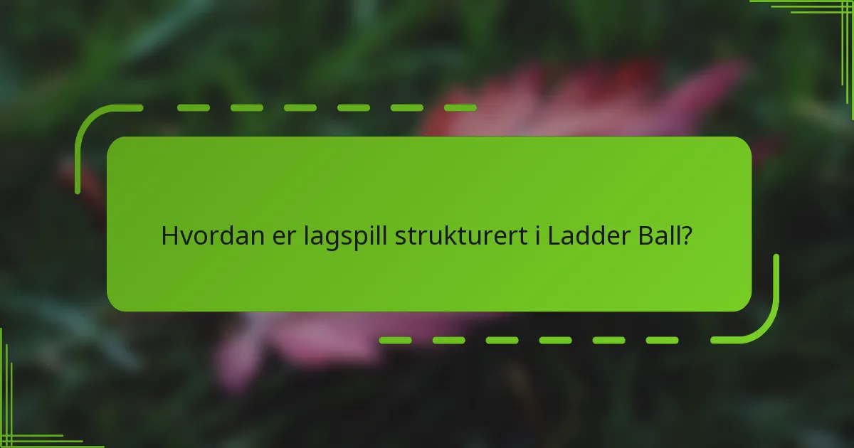 Hvordan er lagspill strukturert i Ladder Ball?