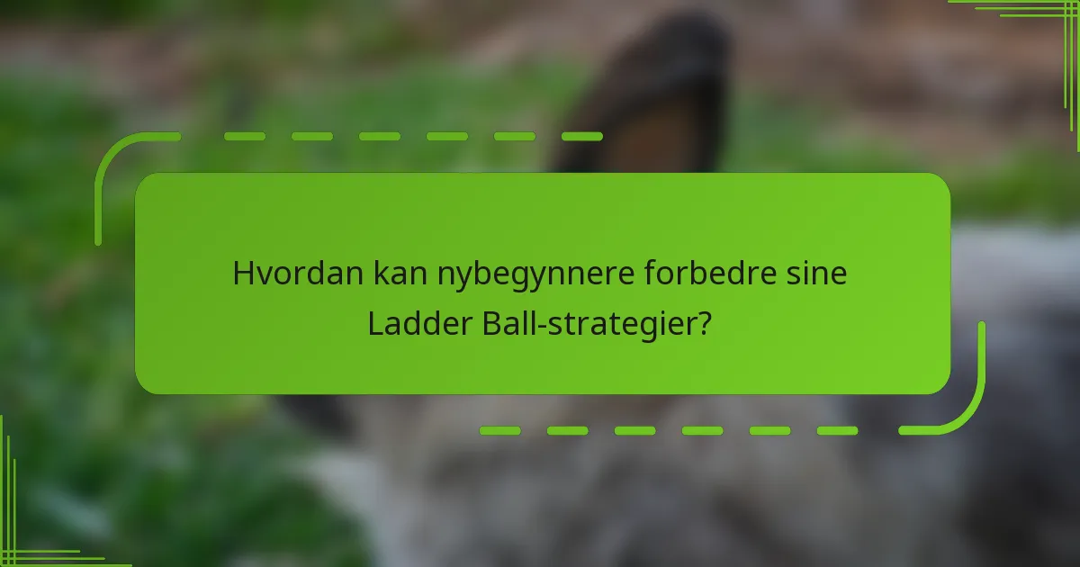 Hvordan kan nybegynnere forbedre sine Ladder Ball-strategier?